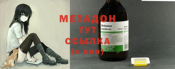 прущие грибы Михайловка