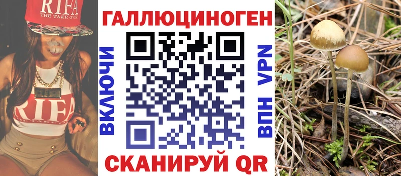 Купить  Приволжский  Галлюциногенные грибы Psilocybine cubensis 